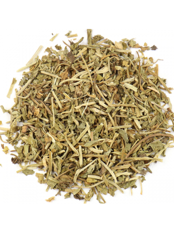 Gotu Kola Extract – Centella Asiatica 